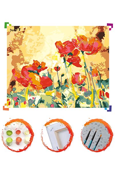 PlusHobby Sb32/gelincik-sayılarla Boyama Seti 40x50cm Tuval