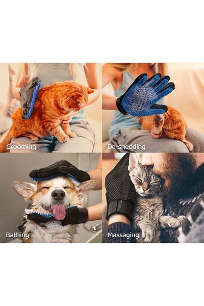Ankanorm Pet Hair Collecting Scratching Glove Cat Dog Hair Collecting Crawling Glove