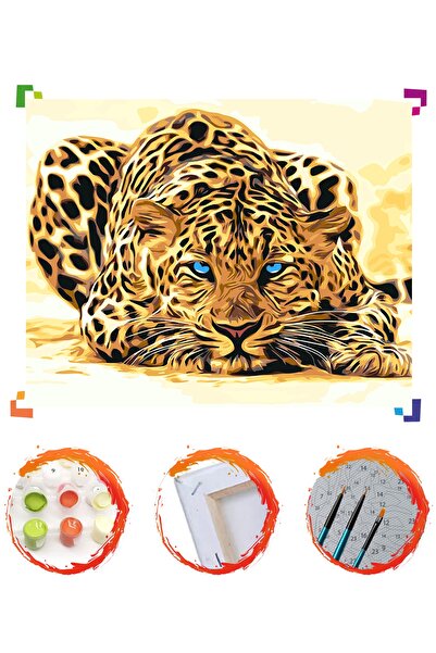 PlusHobby Sb86 - Çıta Sayılarla Boyama Seti 40x50cm Tuval