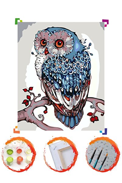 PlusHobby Sb90 Baykuş Sayılarla Boyama Seti 40x50cm Tuval