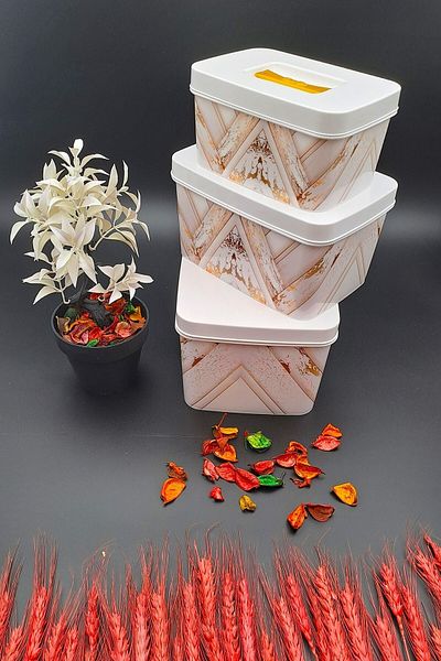 SWENCRAFT Luxury Storage Container Multipurpose Box 3-Piece Dowry Set Special for Mothers