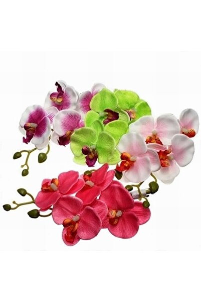 Day 100 Adet 10 Farklı Renk Karışık Orkide Çiçeği Tohumu + 10 Adet Hediye K.r...