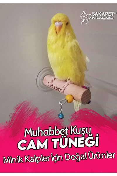 SAKAPET Single Suction Cup Glass Perch