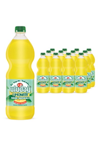 Uludağ Limonata Nane Aromalı Pet 1 Lt 12?li Paket