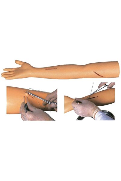 Anatomia Cerrahi Sütur Uygulaması Eğitim Kolu Modeli