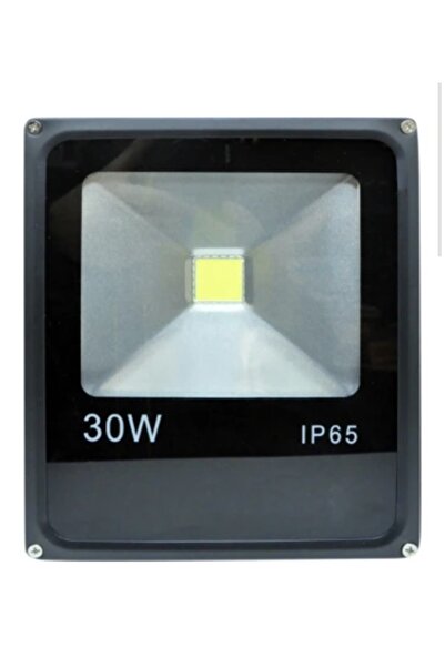 Arslanlar Led Projektör Lamba Slim Kasa 30w