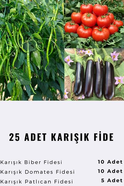 VERAGROW Biolife Fide Karışık Sebze Fidesi 25 Adet Kaliteli Fide