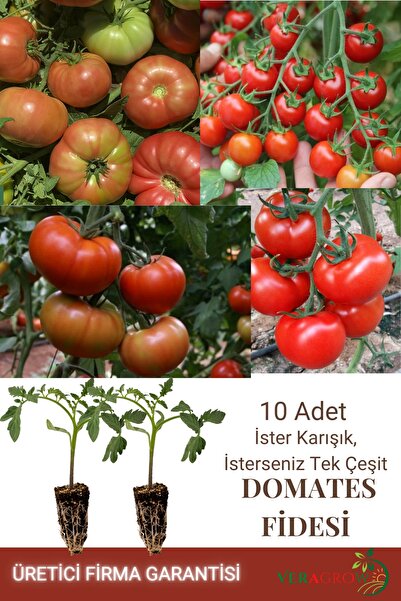 VERAGROW Biolife Fide Domates Fidesi Hobi 10 Adet Kaliteli Fide
