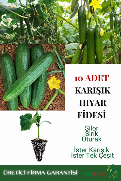 VERAGROW Biolife Fide Salatalık Hıyar Fidesi Hobi 10 Adet Kaliteli Fide