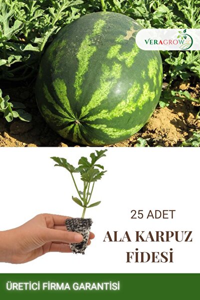 VERAGROW Biolife Fide Karpuz Fidesi Hobi 25 Adet Kaliteli Fide