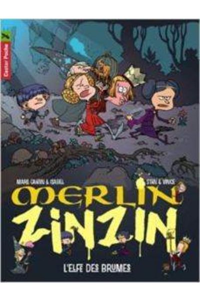 FLAMMARION Merlin Zinzin 8: L'elfes Des Brumes