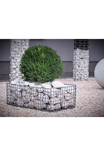 Asenya Beyaz Dolomit Taş 2 Kg 6-10 Cm Dere Çakıl Taşı Bahçe Süs Taşı Saksı Te...