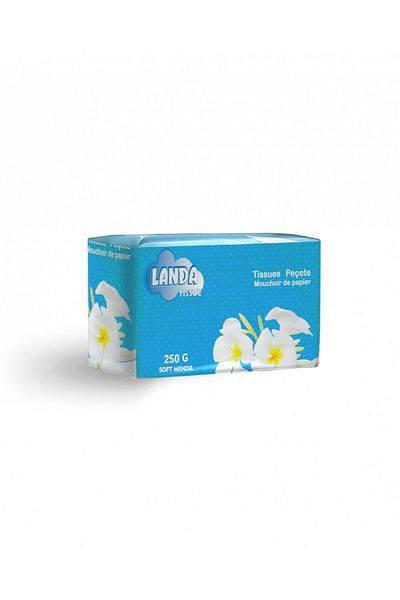 AREX Landa Napkin 250 Gr- 4 Packs X 250 Gr(4 X 250 PIECES- TOTAL 1000 PIECES)