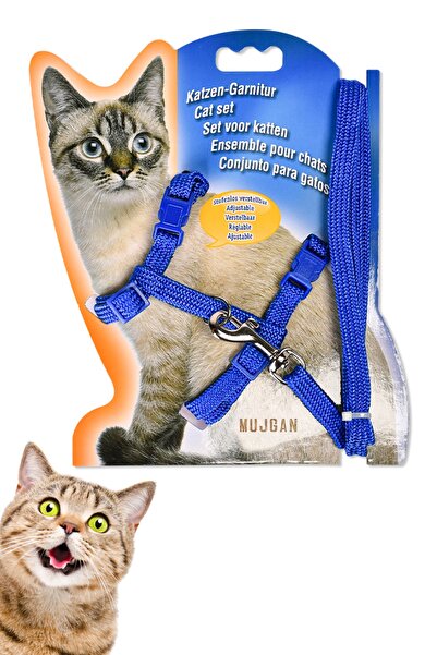 MUJGAN Kedi Göğüs Tasması Gezdirme Seti Mavi