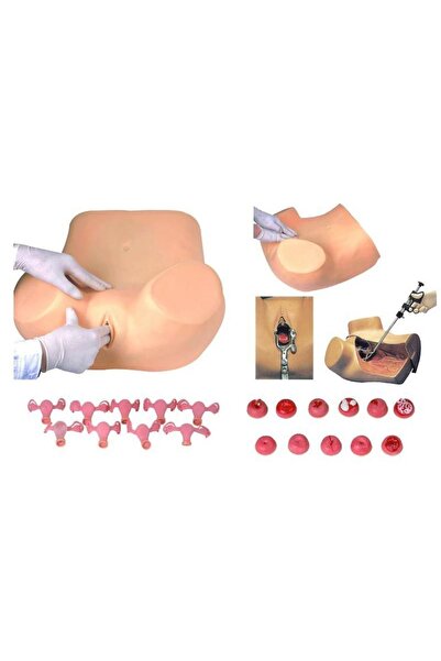 Anatomia Jinekolojik Muayene Eğitim Modeli