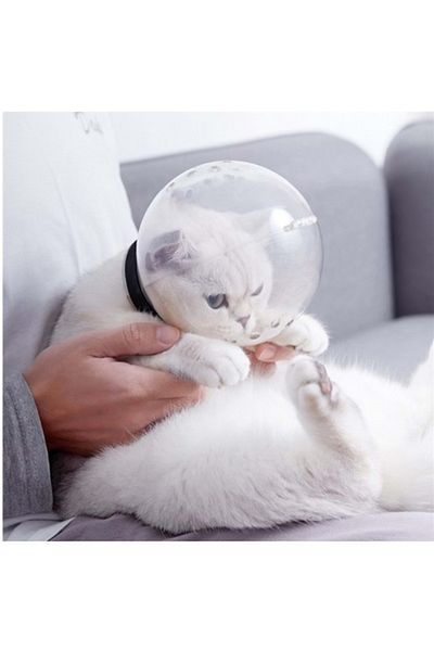 AquaHome Cat Transparent Astronaut Helmet (PROTECTION PURPOSE)