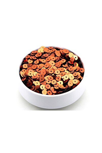 yfhobi 10 Gram - 6 Mm Plastik Payet Pul Ortadan Delik Güpür, Takı, Kumaş Ve S...