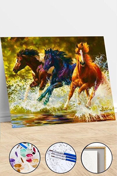 kendinyaphobi Sayılarla Boyama Seti Çerçeveli Kasnaklı 3 At 40x50 Cm