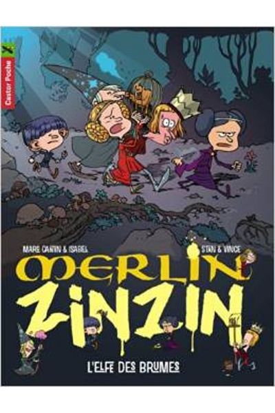FLAMMARION Merlin Zinzin 8: L'elfes Des Brumes