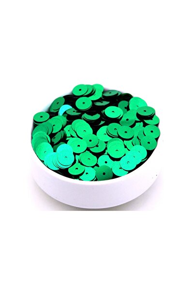 yfhobi 10 Gram- 10 Mm Plastik Payet Pul Ortadan Delik Güpür, Takı, Kumaş Ve S...