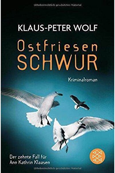 Fischer Verlag Roman na stranom jeziku