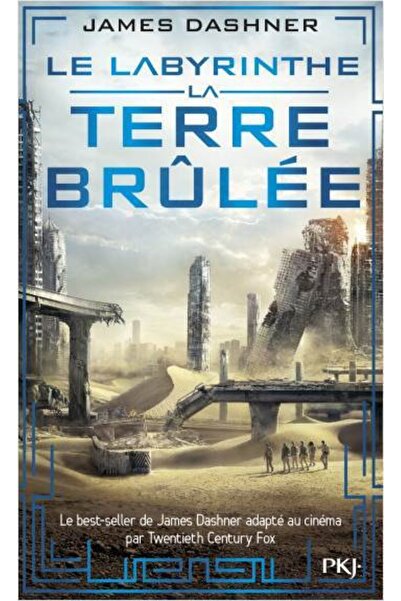 Pocket Jeunesse Spaljena zemlja (Lavirint 2) Meki uvez