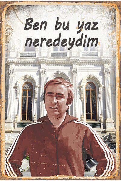 Hayat Poster Ben Bu Yaz Neredeydim Şener Şen Hababam Sınıfı Yeşilçam Retro Ahşap Poster