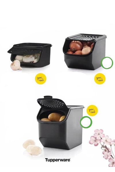 Tupper Ware 3-Piece Food Container Potato Onion Cellar