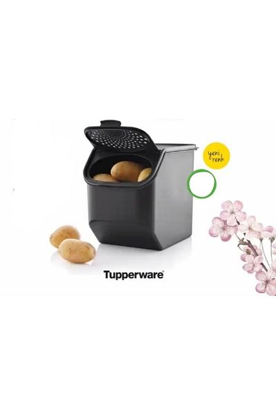 Tupper Ware 3-Piece Food Container Potato Onion Cellar
