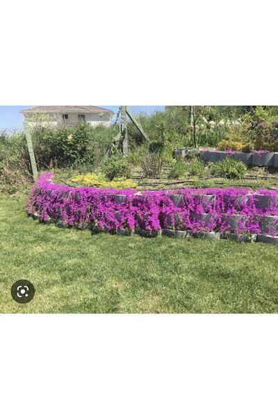 ErGarden Acem Halısı 48 Adet