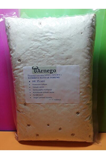 Arnego Istiridye Mantar Tohumu 1 Kg (ekim Mikro Delikli Siyah Poşet Hediye )