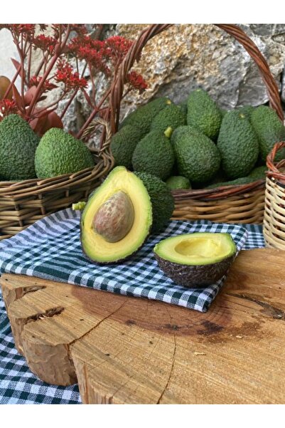 Avokadocu Ayşe 1 kg Hass Avokado (Küçük Boy)
