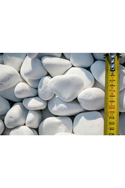 Asenya Beyaz Dolomit Taş 5 Kg 4-6 Cm Dere Çakıl Taşı Bahçe Süs Taşı Saksı Ter...