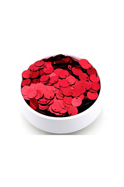 yfhobi 10 Gram - 10 Mm Plastik Payet Pul Yandan Delik Güpür, Takı, Kumaş Ve S...