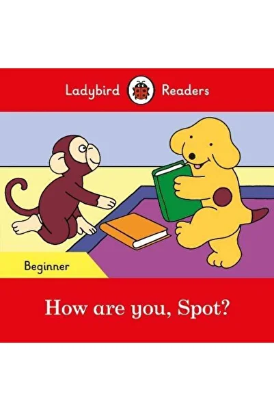 Ladybird Book Usborne How Are You Spot?- Ladybird Reading Effect Started