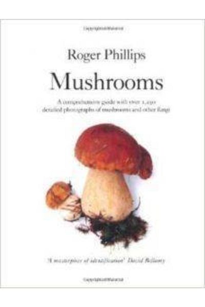 Macmillan UK Double Mushrooms