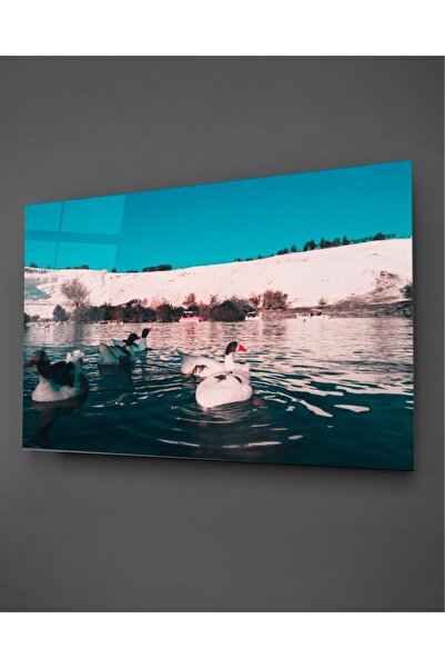 TAULART Pamukkale și pictura pe sticlă de rață