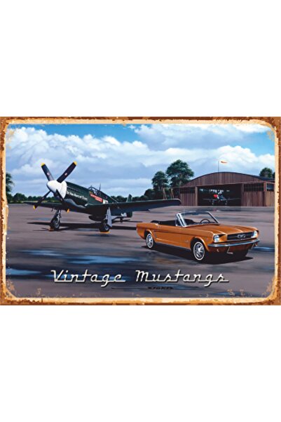 Hayat Poster Ρετρό ξύλινη αφίσα - Αεροπλάνο και κλασικό αθλητικό ανοιχτό αυτο...