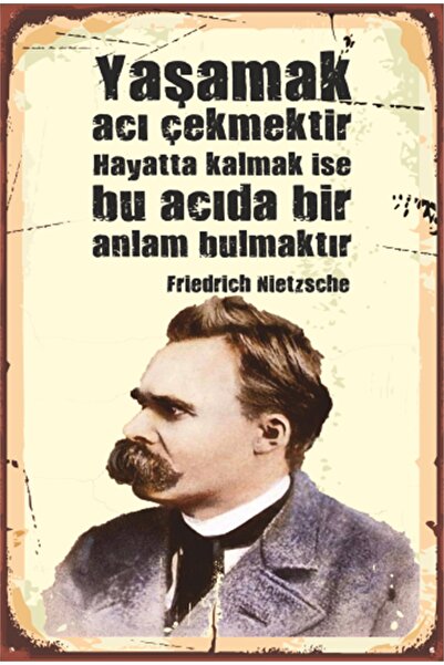 Hayat Poster Αφίσα λογοτεχνίας Nietzsche Poetry Retro Wood