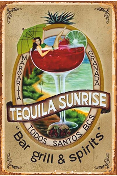 Hayat Poster Коктейл Текила Алкохол Ретро дървен плакат