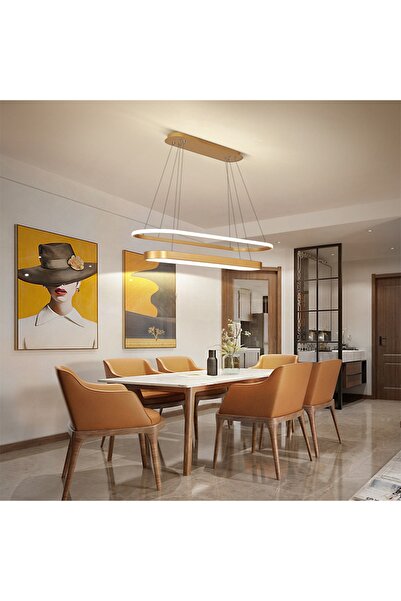 CATLUZ Gold Oval Içi Oval 90-120cm Led Lamba,sarkıt Avize,modern Aydınlatma,dekoratif Işık 3 Işık Rengi