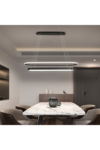 CATLUZ Oval Içi Oval Led Lamba,sarkıt Avize,modern Aydınlatma,dekoratif Işık ...