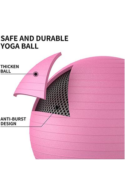 ULTIO 65 cm Pilates Ball and Bidirectional Pump Set Quality Material Yoga Exercise Ball