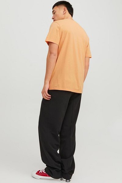 Jack & Jones Jjbecs Shape Tee Ss Crew Neck
