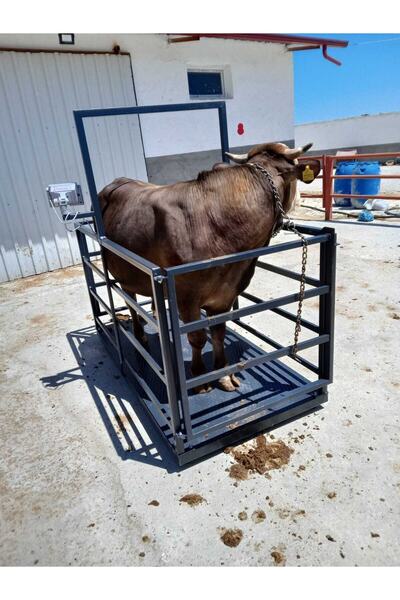 Demirtaş Tartı 2000 Kg 100x200 Cm Hayvan Baskülü