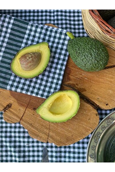 Avokadocu Ayşe Hass Avokado 3 Kg