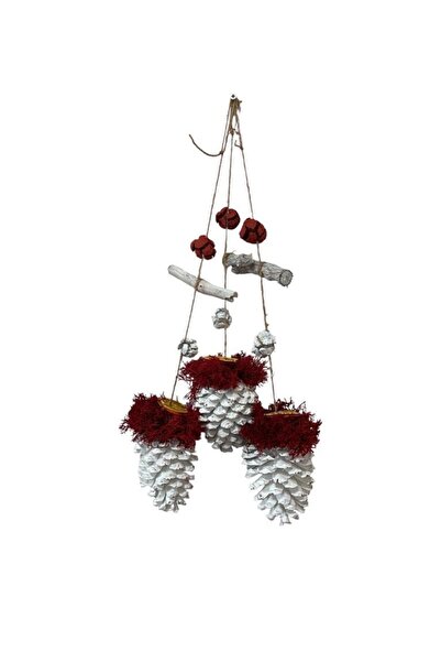 ART PINE 3 Lü Set Kapı Ve Duvar Süsü Doğal Kozalak Portakal Reindeer Moss Has...