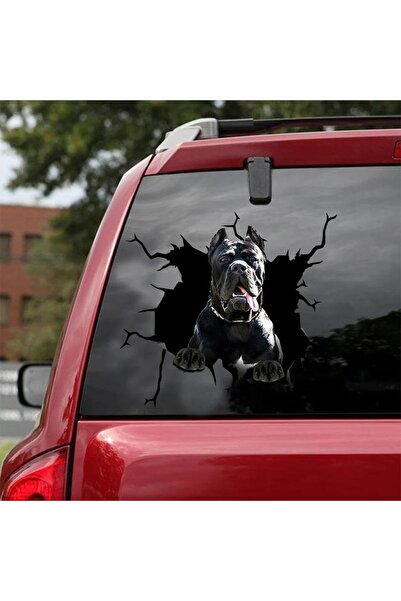 TSC ملصق سيارة Cane Corso لاصق 19 سم تأثير انكسار النافذة الخلفية