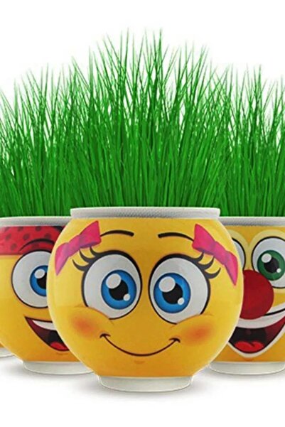 NEWBRENDHOME 1 قطعة رجل العشب حفلة عيد ميلاد مكتب ديكور المنزل هدية مثيرة للا...