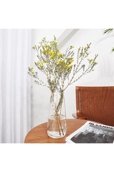 Binbirdemet Simple Cam Pampas Vazo